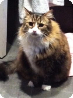 Oscar