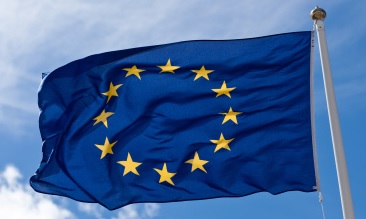 EU flag Håkan Dahlström