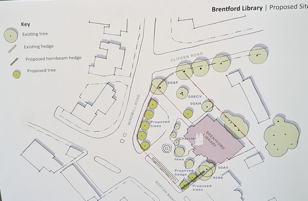 Brentford library tree plan 
