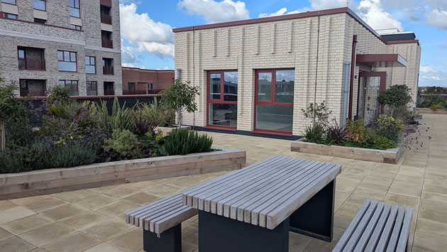 Printmakers roof garden 