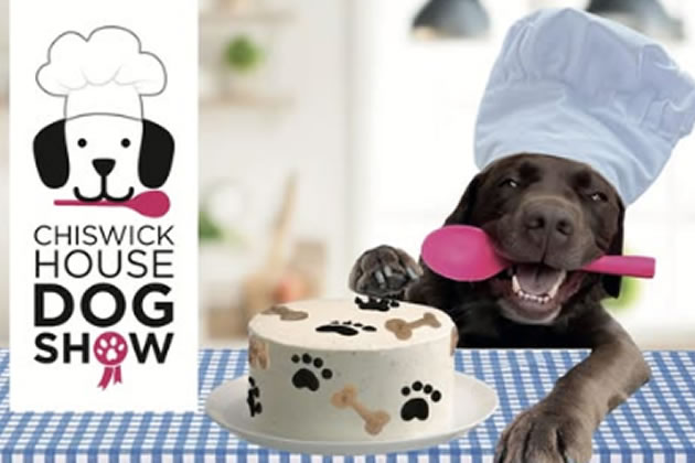Dogs encouraged to wear costumes inspired by baking and cultural references