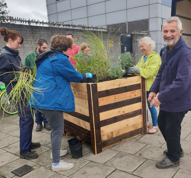 team planting up 
