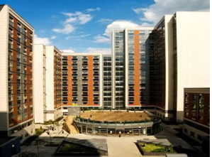 Paragon flats