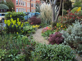 sutton court garden