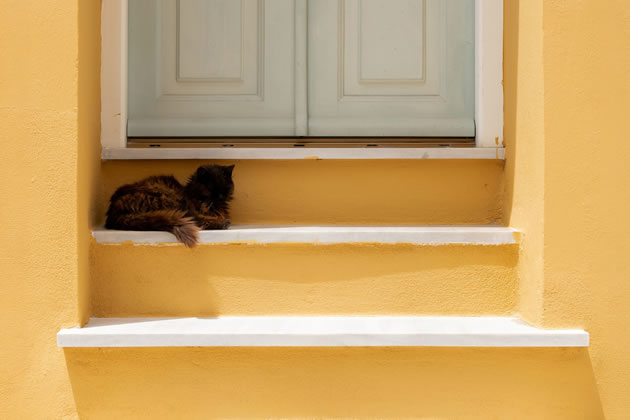 One of the images in Stefano Fugazzi's Fragments