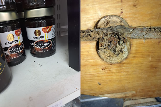 Pictures taken at the premises by health inspectors