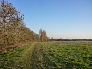 warren farm