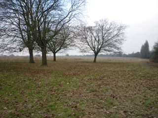 warren farm