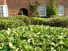 Rural East Acton