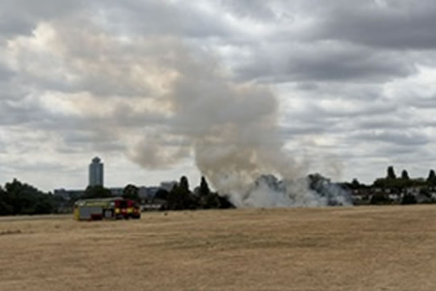Wildfires have broken out across the borough during this year's hot weather