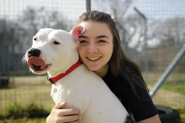 Animal Welfare Officer Georgia O’Brien was highly commended
